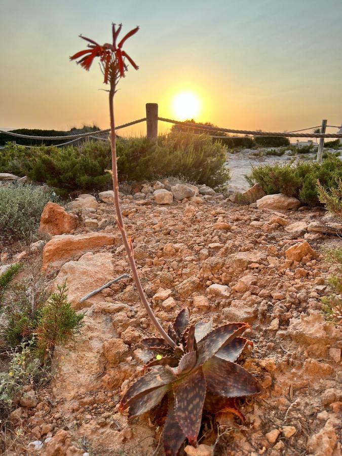 Arenas Del Mar Formentera Es Arenals