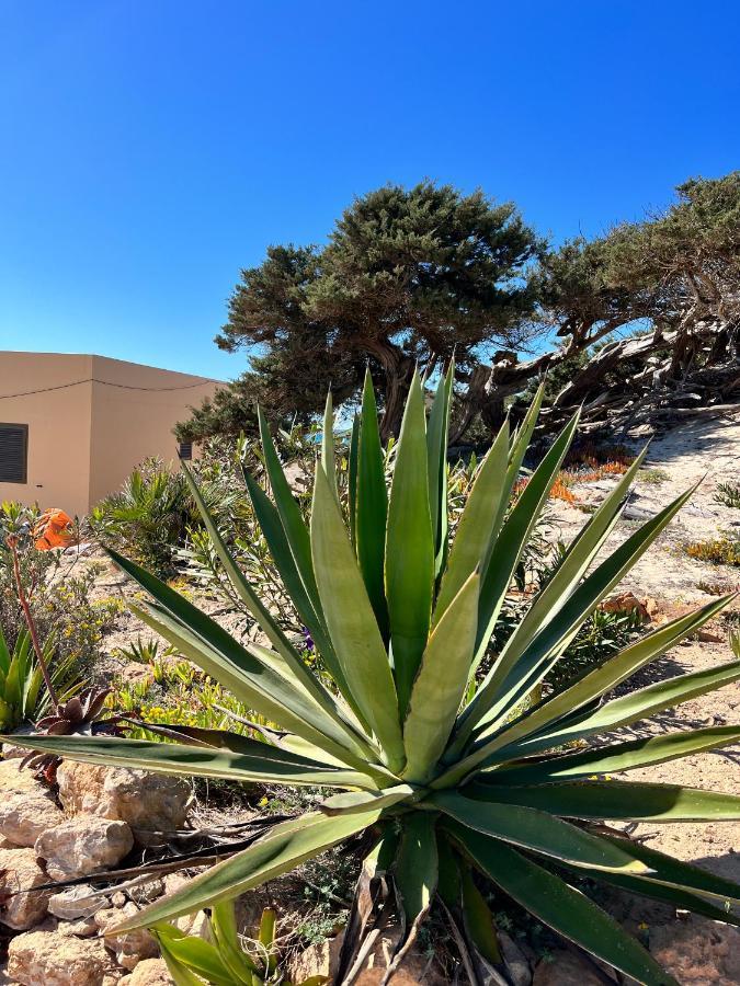 Arenas Del Mar Formentera Holiday home *