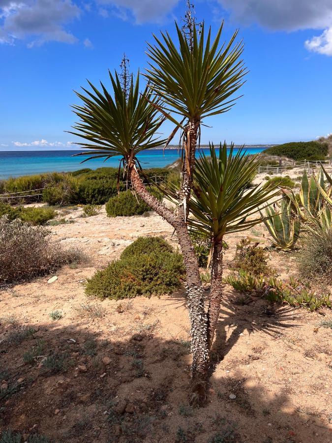 Arenas Del Mar Formentera Es Arenals
